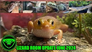 REPTILE ROOM UPDATE JUNE 2024 Pt 12 [upl. by Anoif66]