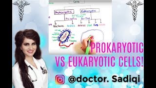 BASICS OF PROKARYOTIC AND EUKARKOTYIC CELLS EXPLAINED UNDER 7 MINUTES [upl. by Airemaj]