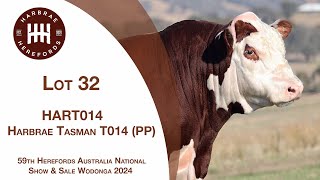 Lot 32 Harbrae Tasman T014 PP [upl. by Gipsy]