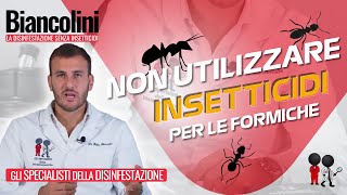 🔎​🐜​ Formiche NON utilizzare insetticidi prima di aver visto questo 🔎​🐜​ [upl. by Altheta]