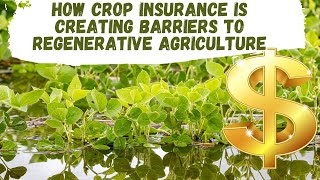 Is Crop Insurance Stopping Regenerative Agriculture [upl. by Eicrad388]