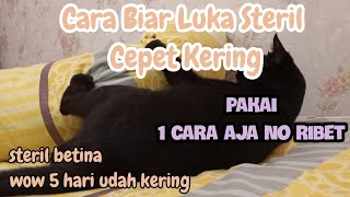 1 Cara Supaya Luka Steril Cepet Kering [upl. by Kelby]