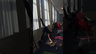 Hamstrings stretch ideas alignment yogapose [upl. by Anuahsat]