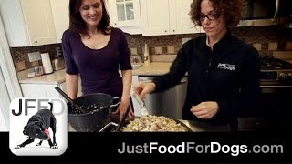 How to Make Homemade Dog Food  Just Food For Dogs [upl. by Aicilaana]