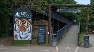 Port Lympne  Safari [upl. by Ciel166]