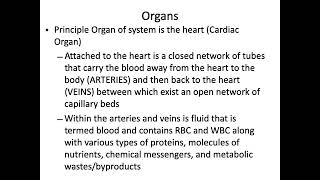 Anatomy of the Cardiorespiratory System Introduction Part 1 [upl. by Lednik]