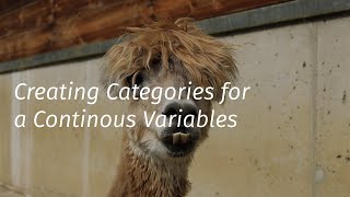 Categorizing continuous variable [upl. by Maressa290]