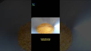 Puffed rice cake machine making 90mm 45mm round triangle rice cakes chips popcorners [upl. by Cirtemed483]