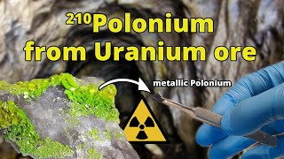 Polonium210 from Uranium Ore  Nuclear Chemistry [upl. by Gulgee962]