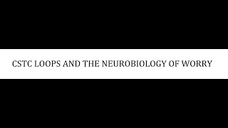 STAHLS  CH 9  PART 3  CSTC LOOPS AND THE NEUROBIOLOGY OF WORRY  psychiatrypsychopharmacology [upl. by Anais493]