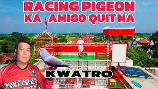 EP777  KA AMIGO GOODBYE RACING PIGEON NA BA [upl. by Sausa10]