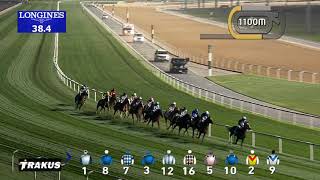 Race 2 Meydan Classic [upl. by Oenire]