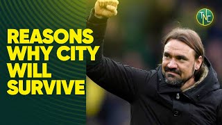 5 REASONS WHY NORWICH CITY WILL STAY IN THE PREMIER LEAGUE [upl. by Immak]