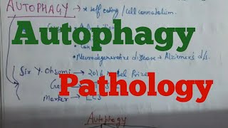 Autophagy Pathology [upl. by Rodavlas]