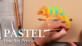 CRETACOLOR  PASTEL  Fine Art Pastel Pencil  CHAMELEON [upl. by Patman639]