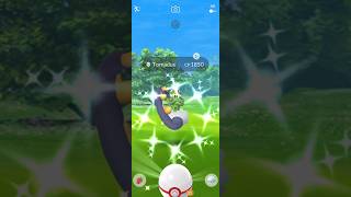 Finally I Got ✨Shiny Tornadus Raid in pokemongo [upl. by Nerraw]