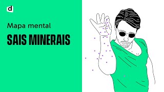 SAIS MINERAIS  Biologia  Quer Que Desenhe  Descomplica [upl. by Adnical]