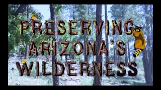 Woodchute  Preserving AZ Wilderness Ep03 [upl. by Meares]