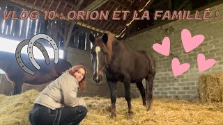 Vlog 10  visite à Orion et la famille  🌸 lifestylevlog cheval vlog studentlife [upl. by Homere828]