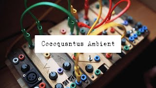 Cocoquantus Ambient [upl. by Maro]