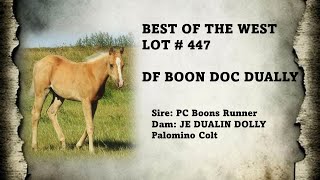 LOT 447 DF BOON DOC DUALLY [upl. by Ula]