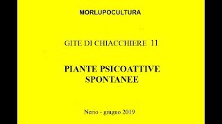 Piante spontanee psicoattive in Italia [upl. by Africa]