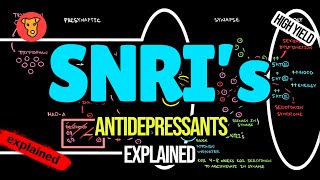 SNRI Mechanism of action Serotonin Norepinephrine Reuptake Inhibitors [upl. by Anniahs390]