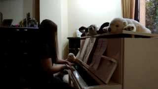 Dolannes Melody  Paul de Senneville Piano Cover [upl. by Ellak]