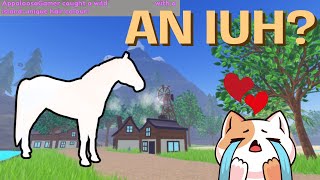 Play the wild horse islands winter event with me Christmas special [upl. by Maffei298]