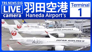 【ライブ】羽田空港 第1ターミナルのライブカメラ 現在の様子は？Haneda Airports Terminal 1 TBS NEWS DIG [upl. by Atsirtal854]