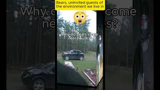 Why do bears come near houses bears bearlife doorbellcam [upl. by Jacinda]