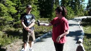 Krissy feeds Gray Jays at Strathcona Park Mt Washington [upl. by Fransen919]