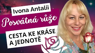 Posvátná růže  cesta ke kráse a Jednotě  Ivona Antalii [upl. by Inanaup]