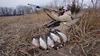 My Best Solo Goose Hunt of 2020 Limit Out [upl. by Hsotnas468]