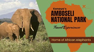 Trip to Amboseli National Park [upl. by Lose843]