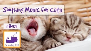 1 HOUR OF MUSIC FOR CATS Soothe Your Cat With Relaxing Music [upl. by Marela]