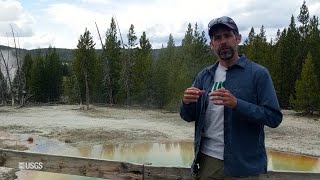 Yellowstone Volcano Update for August 2021 [upl. by Jarret359]