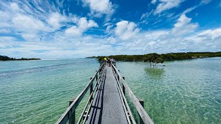 Urunga Boardwalk NSW [upl. by Schear]