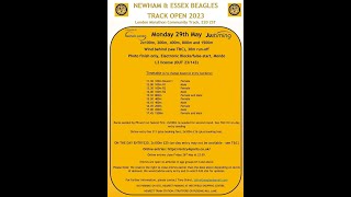 NEWHAM amp ESSEX BEAGLES TRACK OPEN 29TH MAY 2023 [upl. by Suoirad]