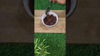 Chocolate cakebox Chocolatey tasty cakebox  ytshorts ytstudieo trending viralvideo chocolate [upl. by Dabbs]