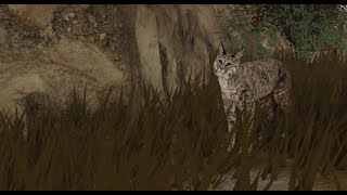 Yellowstone Unleashed  Bobcat [upl. by Anirod]