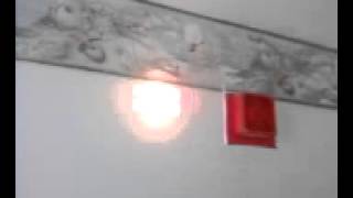 Simplex fire alarm system horn and incandescent lamp [upl. by Sesilu]