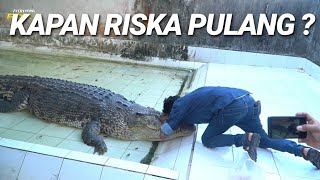 SEKELAS PEJABAT BUAYA RISKA TIDAK ADA KABAR KEMBALIKAN RISKA [upl. by Nichol157]