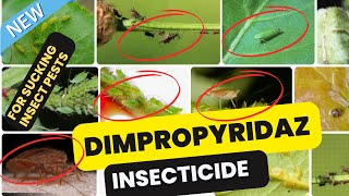 Dimpropyridaz Insecticide Effective Control of Sucking Pests in Crops [upl. by Oivlis594]