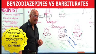 Benzodiazepines Vs Barbiturates  Pharmacology  Dr Najeeb Lectures [upl. by Aehtorod]