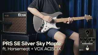 PRS John Mayer SE Silver Sky Guitars DEMO  All 5 Positions ft PRS Horsemeat amp VOX AC15C1X [upl. by Jackie]