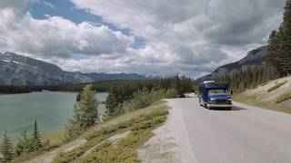 Discover Banff amp Its Wildlife Tour [upl. by Bander]