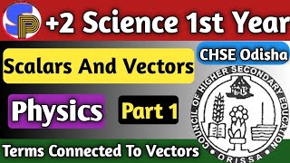 Scalar And Vector Quantities Physics  Vectors Physics Class 11th  2 Science First Year [upl. by Strickler]