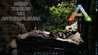 Como tamear un Arthropleura de manera fácil y rápida En Ark Survival Evolved [upl. by Dearman]