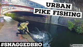 PIKE FISHING with Lures  Urban Pike 2 [upl. by Einnaffit]